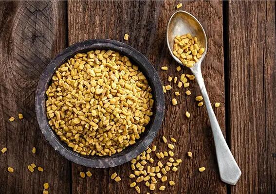 Fenugreek Extract