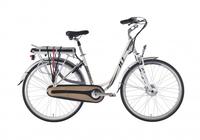 Electric Bike-Bertin