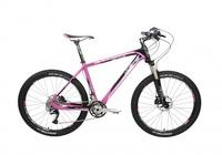 Mountain Bike-ARTHUR