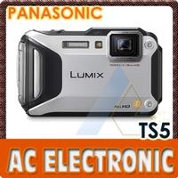 PAN-TS5-Silver 