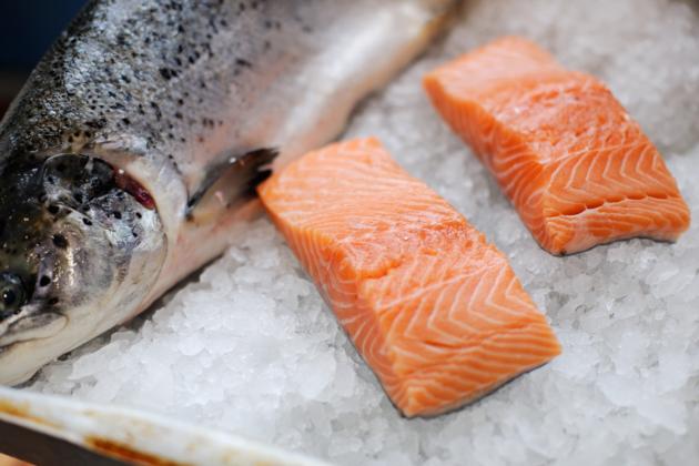 Salmon Fish