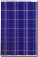 Kehua 250W Mono-crystalline PV module