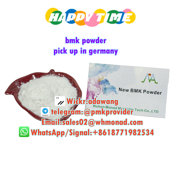 bmk powder cas 5449-12-7 in stock