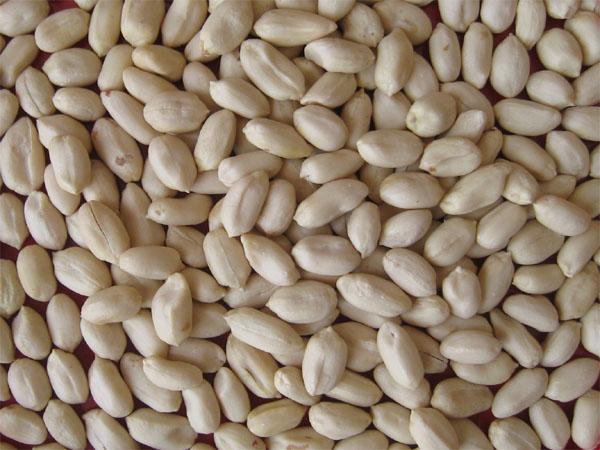Blanched Peanuts