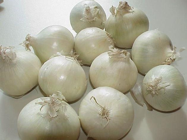White Onion