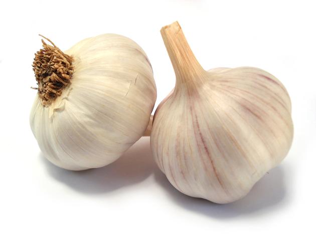 Garlic Pod