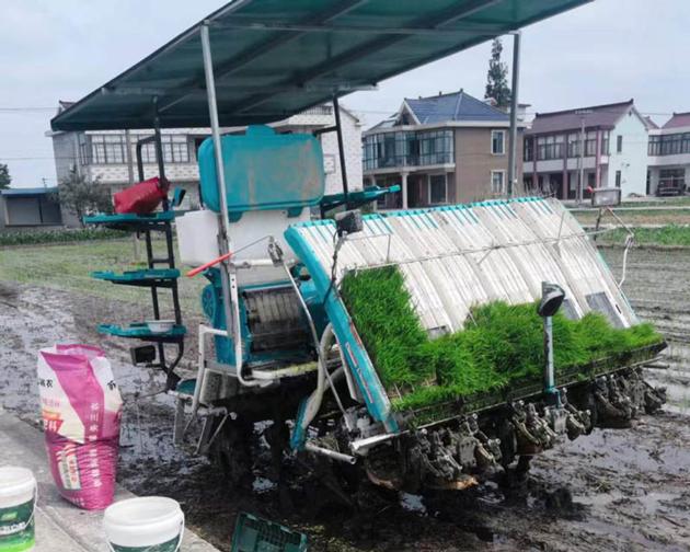 Rice Deep Placement Of Fertilizer Applicator