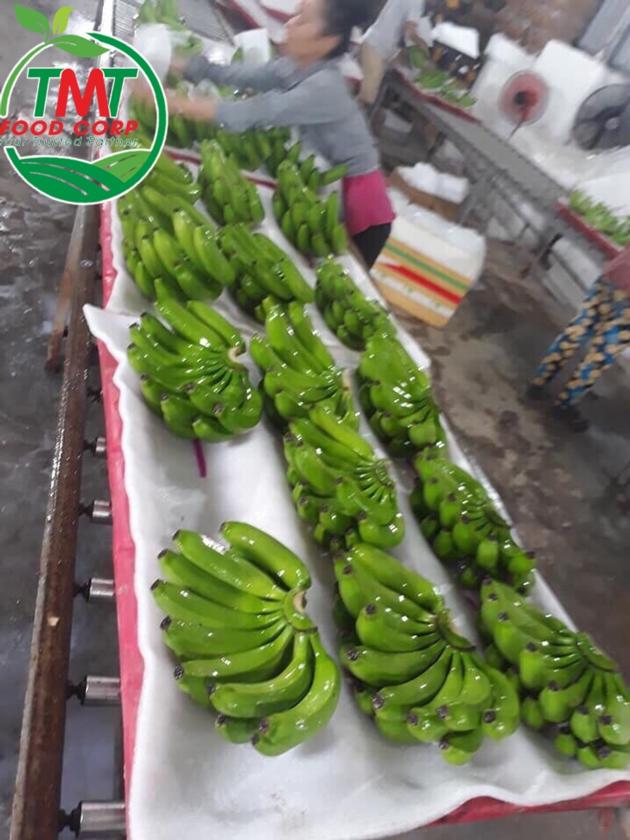 Fresh Cavendish Banana