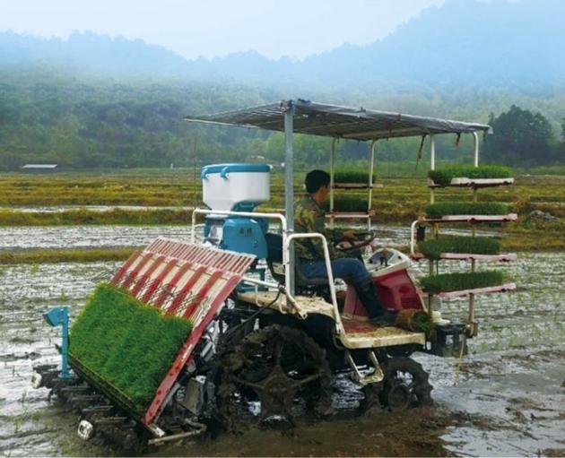Rice Deep Placement Of Fertilizer Applicator