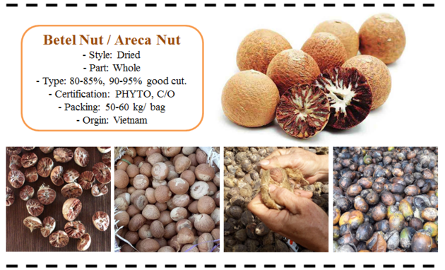 Betel Nut / Betal Nut / Arecanut/ Supari