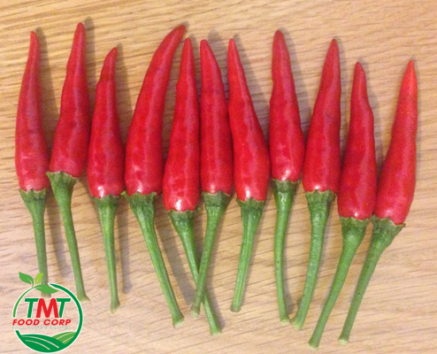 Fresh Red Hot Chili
