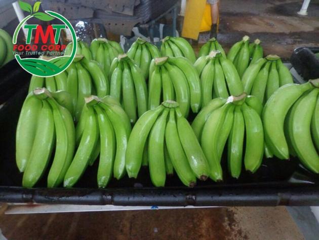Fresh Cavendish Banana