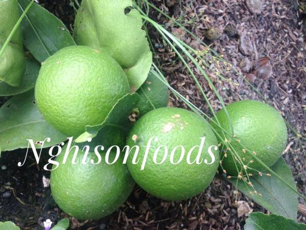 SEEDLESS LIME