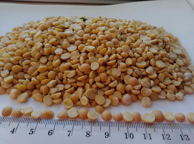 Yellow / Green Split Peas
