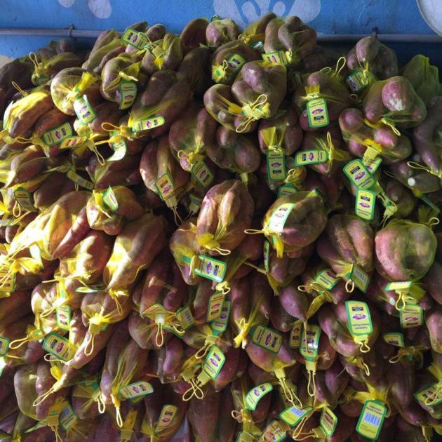 Fresh Sweet Potato