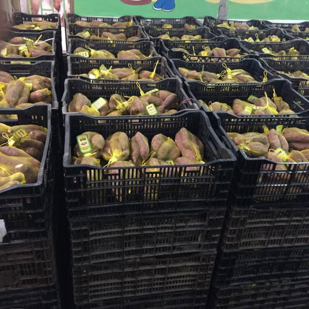 Fresh Sweet Potato