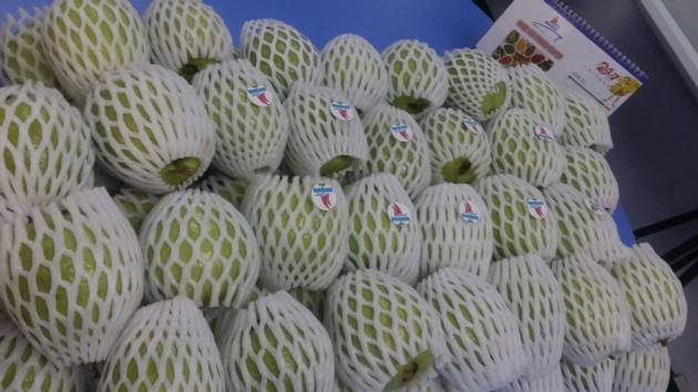 FRESH GUAVA