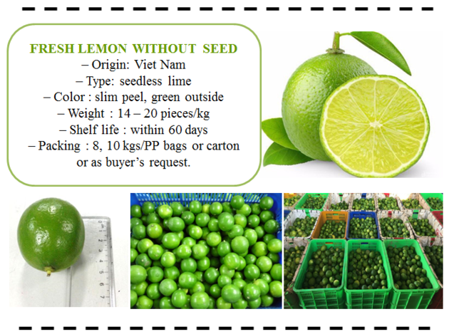 Fresh Lemon / Lime in Bulk 