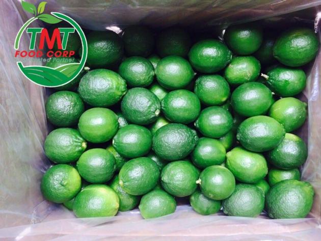 Vietnamese Fresh Seedless Lime
