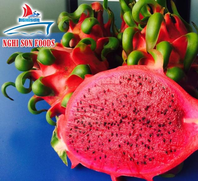 Fresh Dragon Fruit Red Flesh White