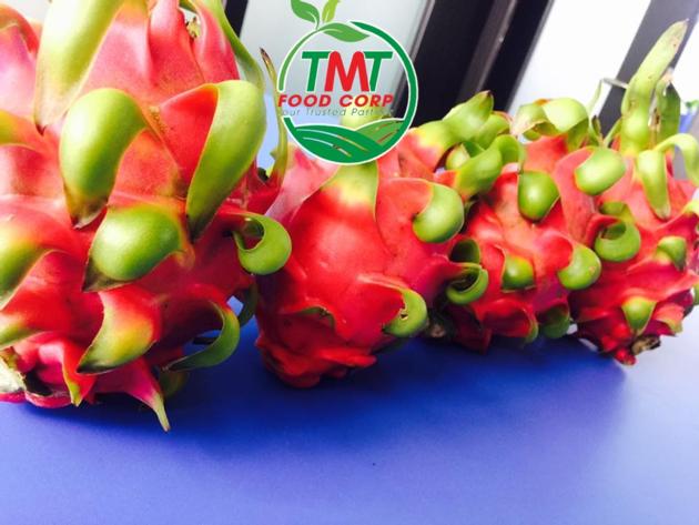 Fresh Dragon Fruit Red Flesh White
