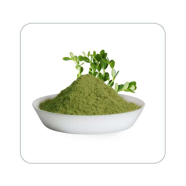 Bacopa Monnieri Powder Bulk Supplier