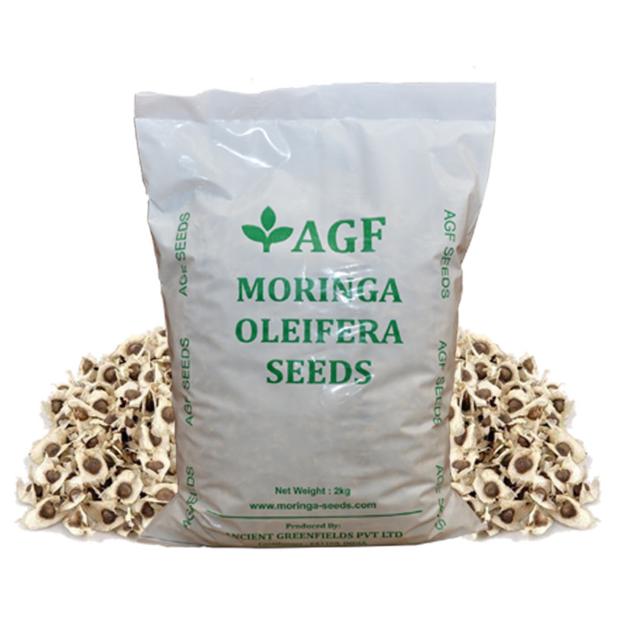 Organic Moringa Seeds Supplier