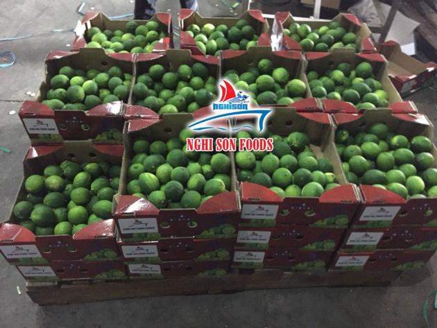 SEEDLESS LIME