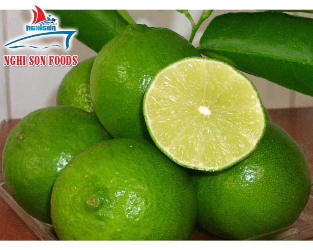 SEEDLESS LIME