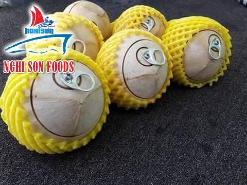FRESH COCONUT