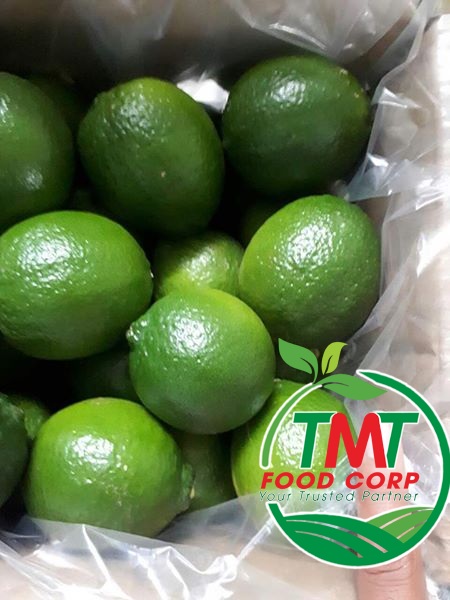 Vietnamese Fresh Seedless Lime