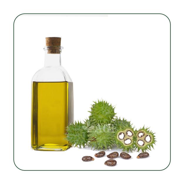 Organic Castor Oil Bulk Supplier