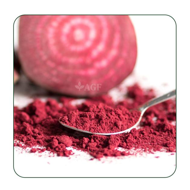 Organic Vegetable Beetroot powder Manufacturer 