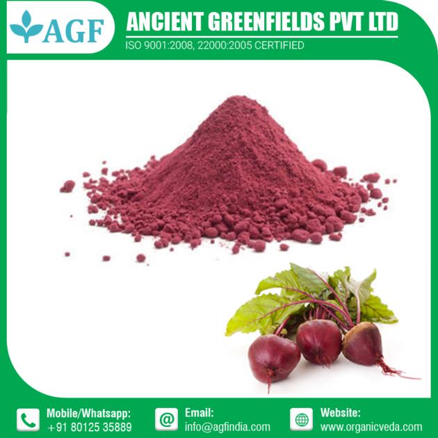 Organic Vegetable Beetroot Powder Manufacturer