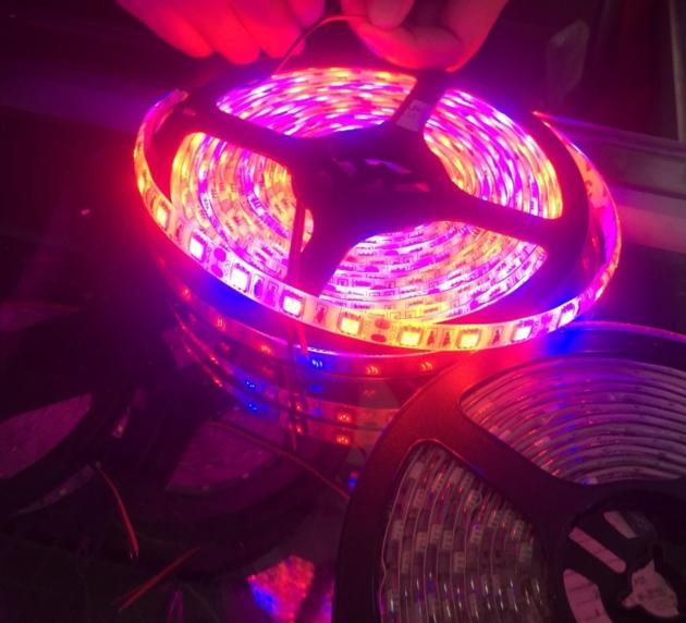 5M Plant Growing 5050 Strip 12V