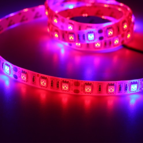 5M Plant Growing 5050 Strip 12V LED Light Hydroponic Red Blue 5:1