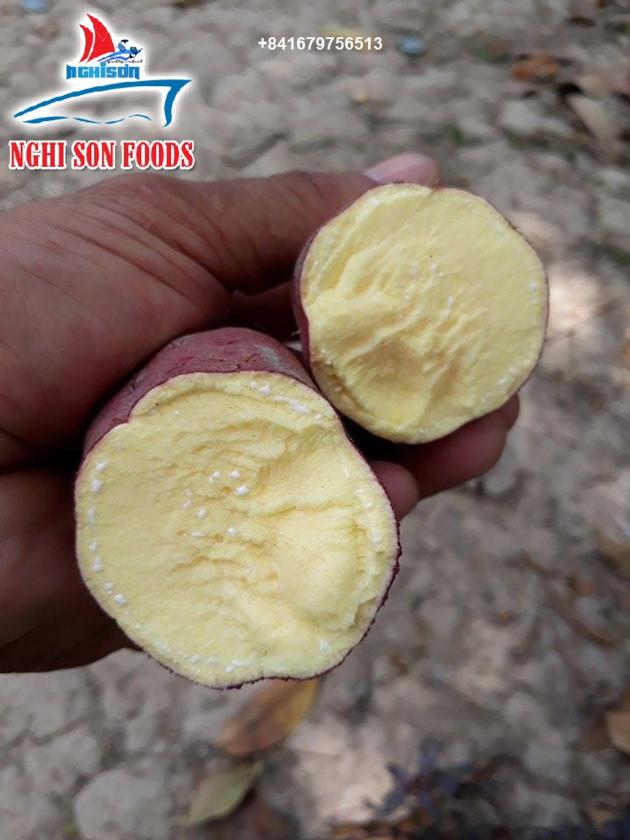 Fresh Sweet Potato