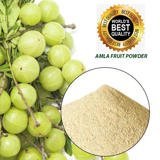 Amla Fruit Powder Bulk