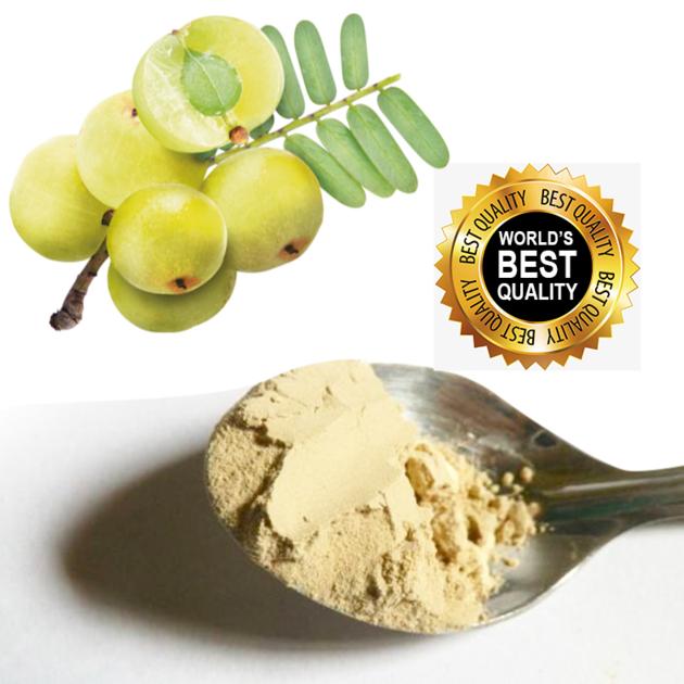 Amla Fruit Powder Bulk