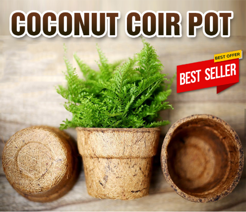 Coconut Fiber Pot - Coir Planter - Coir Pots