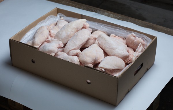 Frozen chicken fillet IQF