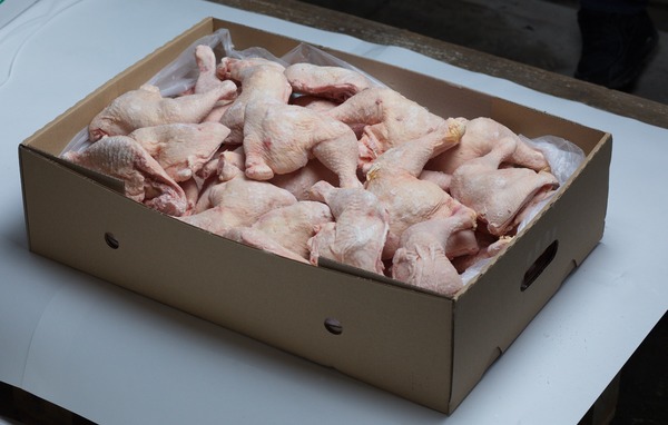Frozen Chicken Fillet IQF
