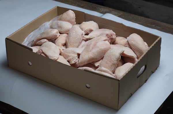 Frozen Chicken Fillet IQF