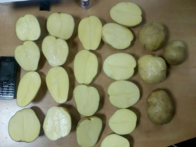 Quality Potatoes By Wholesale For Export