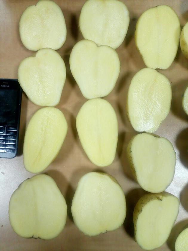 Quality Potatoes By Wholesale For Export