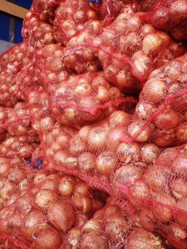 Onions By Wholesale - For Processing Or Peeling