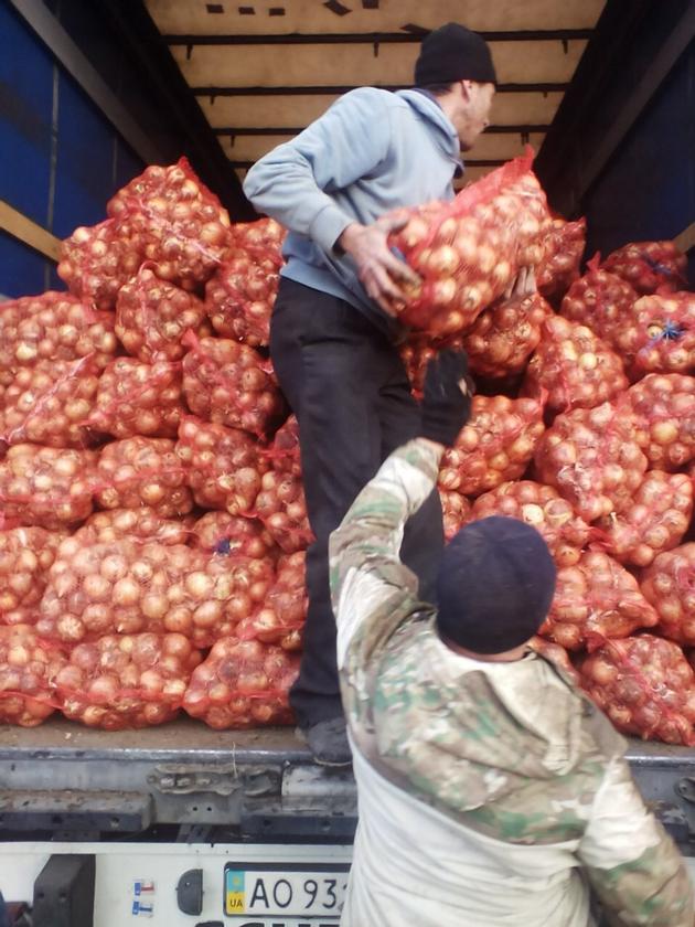 Onions By Wholesale For Processing Or