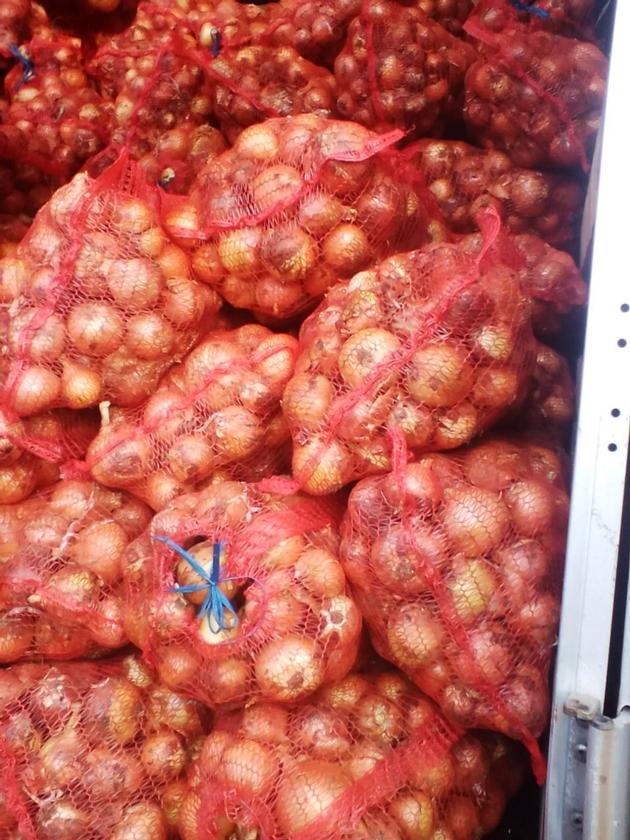 Onions By Wholesale For Processing Or