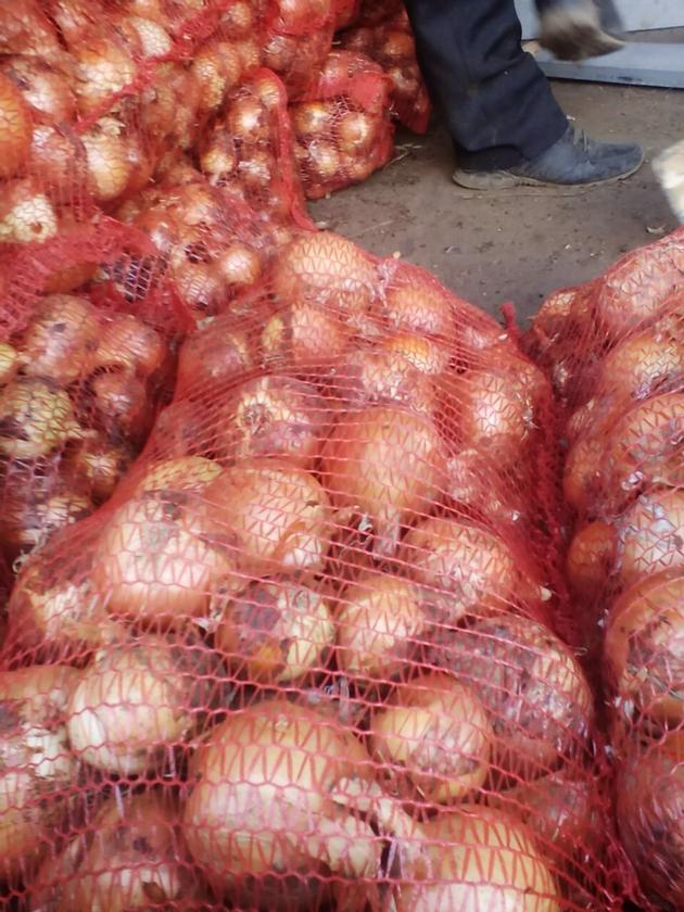 Onions By Wholesale For Processing Or