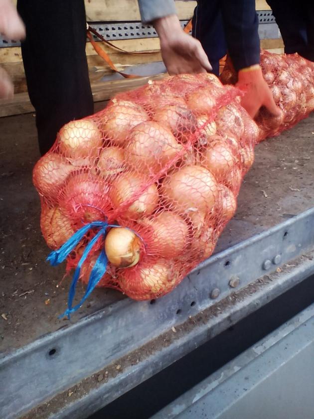 Onions By Wholesale For Processing Or